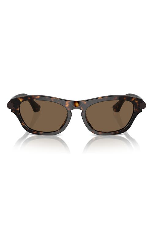 Shop Burberry 55mm Pillow Sunglasses In Dk Havana