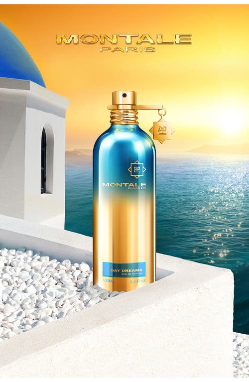 MONTALE PARIS MONTALE PARIS DAY DREAMS EAU DE PARFUM