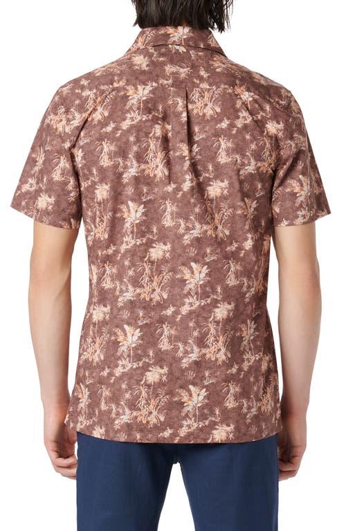 Shop Bugatchi Jackson Shaped Fit Palm Tree Print Button-up Camp Shirt In Mocha