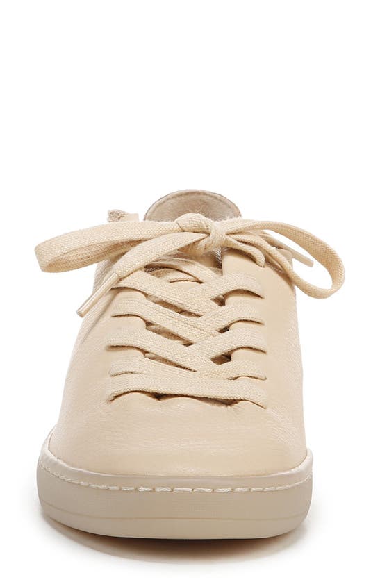 Sam Edelman Jaxon Sneaker In Egg Shell