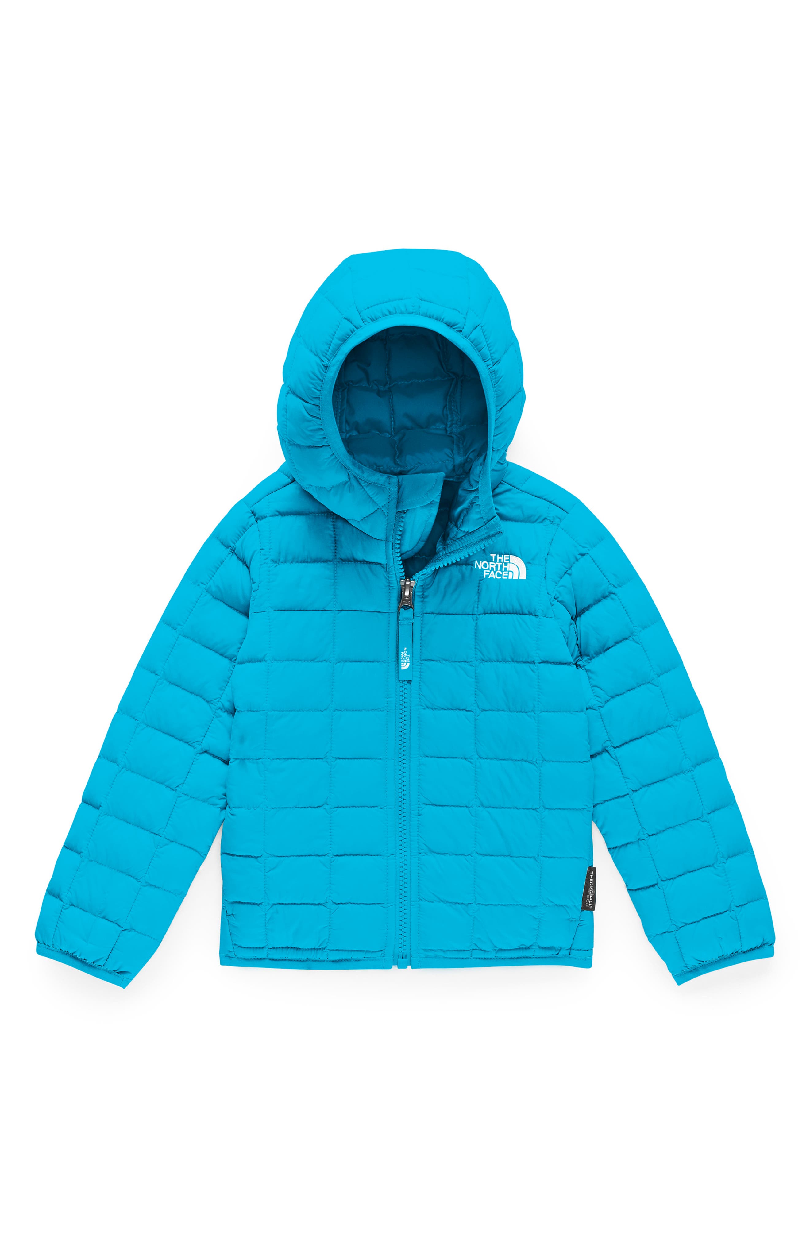 nordstrom toddler north face