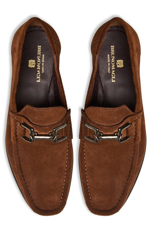 Shop Bruno Magli Trieste Bit Loafer In Cognac Suede