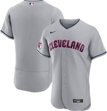 Men's Nike Gray Cleveland Guardians Road Authentic Team Jersey