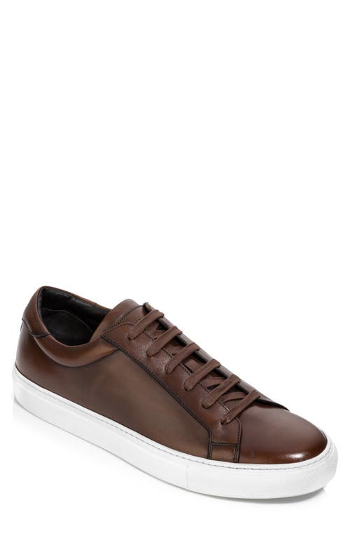 TO BOOT NEW YORK Sierra Lace-Up Sneaker at Nordstrom,