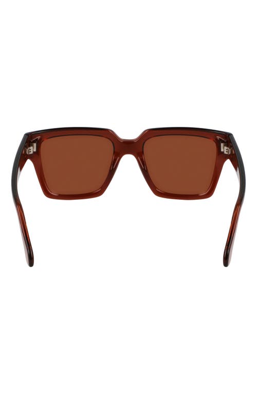 Ferragamo Gancini Acetate Square Sunglasses In Transparent Brown