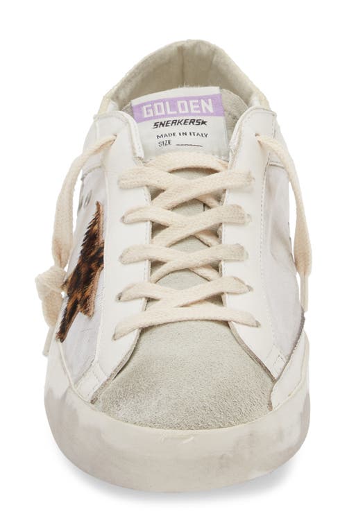 Shop Golden Goose Super-star Genuine Calf Hair Sneaker In Ivory/leopard Calf Hair