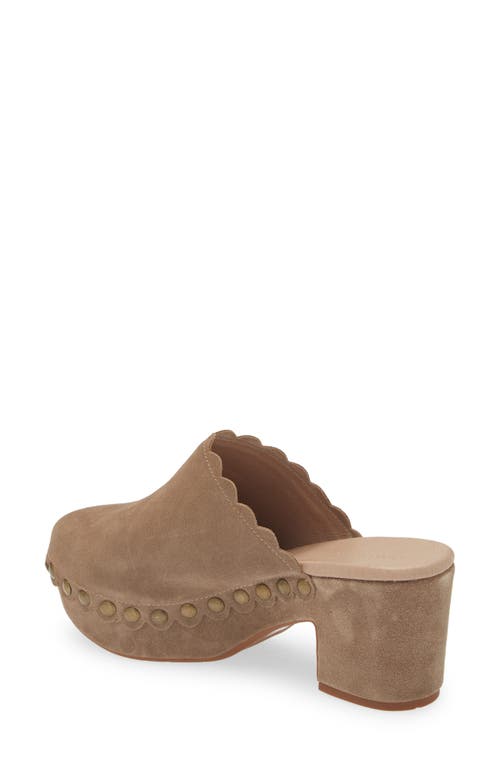 Shop Chocolat Blu Gemini Platform Clog In Taupe Suede