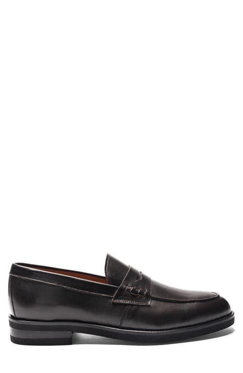 Shop Bruno Magli Carter Penny Loafer In Dark Brown Nappa