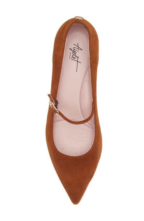 Shop Naot Rosalie Pointed Toe Pump In Brown Suede