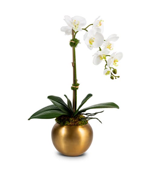 Cocobella Adeline Gold Realtouch Orchid In Gold