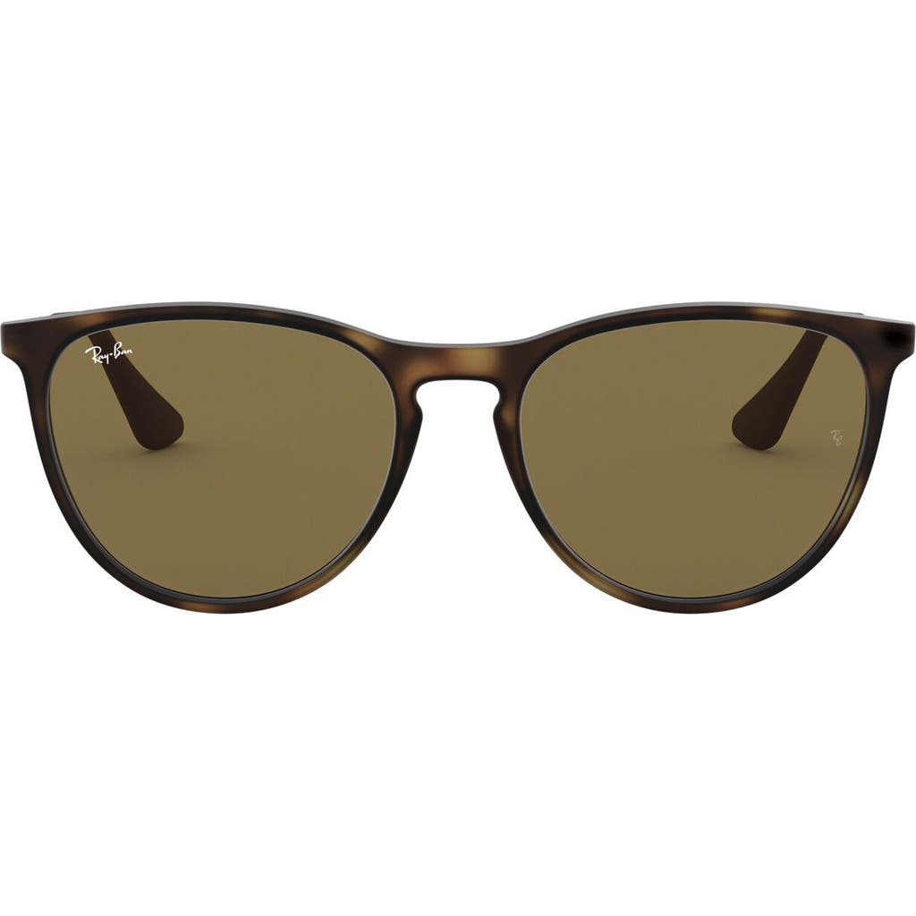 Ray Ban Ray-ban Junior 50mm Round Sunglasses In Havana/brown Solid