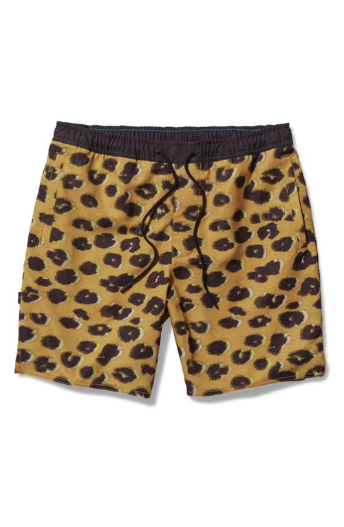 Complex Hybrid Shorts in Leopard Fade