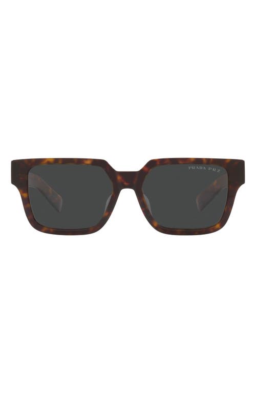 Prada 54mm Polarized Square Sunglasses in Tortoise
