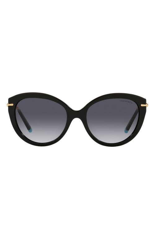 Tiffany & Co . 55mm Cat Eye Sunglasses In Black/grey Gradient