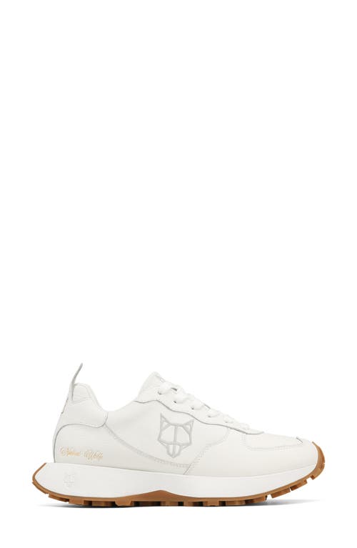 Pacific Genesis Leather Sneaker in White-Leather