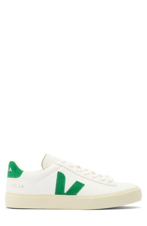 Shop Veja Campo Sneaker In Extra-white/emeraude