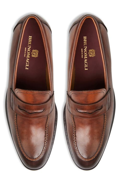 Shop Bruno Magli Arden Penny Loafer In Cognac