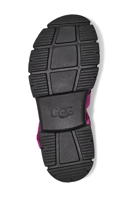 Shop Ugg(r) Kids' Ashton Fisherman Sandal In Mangosteen