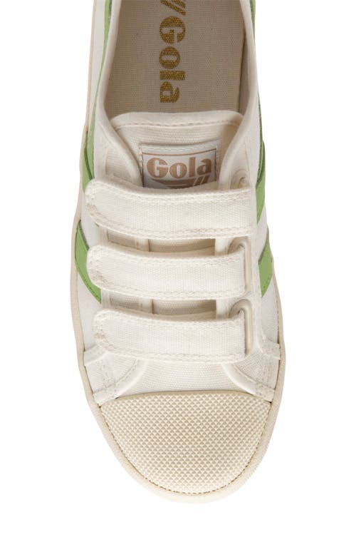 Shop Gola Coaster Low Top Sneaker In Off White/patina Green