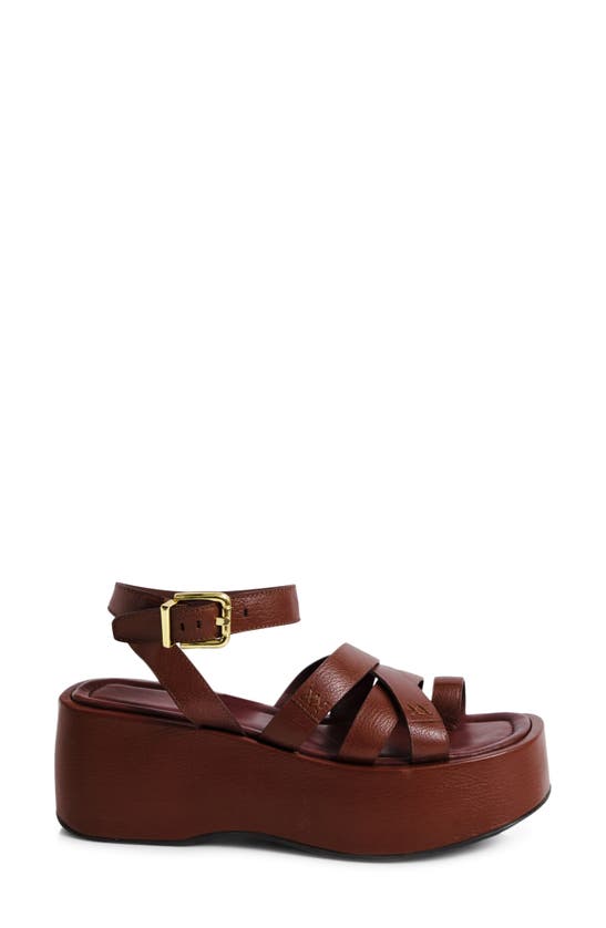 Shop Free People Hazel Platform Sandal In Coconut Shell