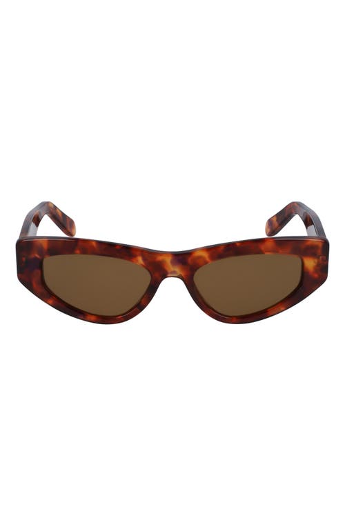 Ferragamo 53mm Cat Eye Sunglasses In Brown