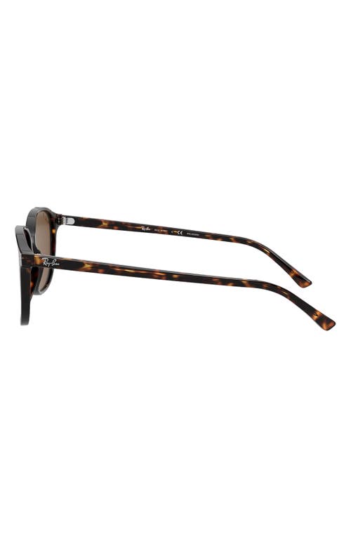 Ray Ban Leonard Sunglasses Tortoise Frame Brown Lenses Polarized 53-18 In Havana/brown