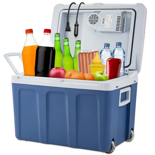 Shop Ivation Electric Cooler & Warmer In Blue