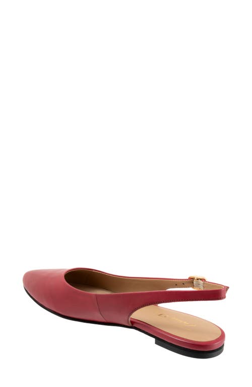 Shop Trotters Evelyn Pointed Toe Slingback Flat In Red