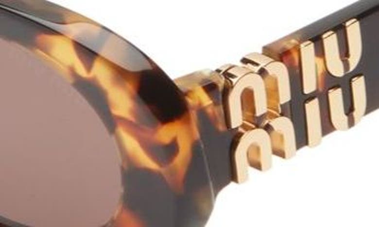 Miu Miu Logo Acetate Oval Sunglasses In Havana