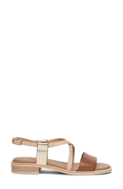 Nerogiardini Ankle Strap Sandal In Brown