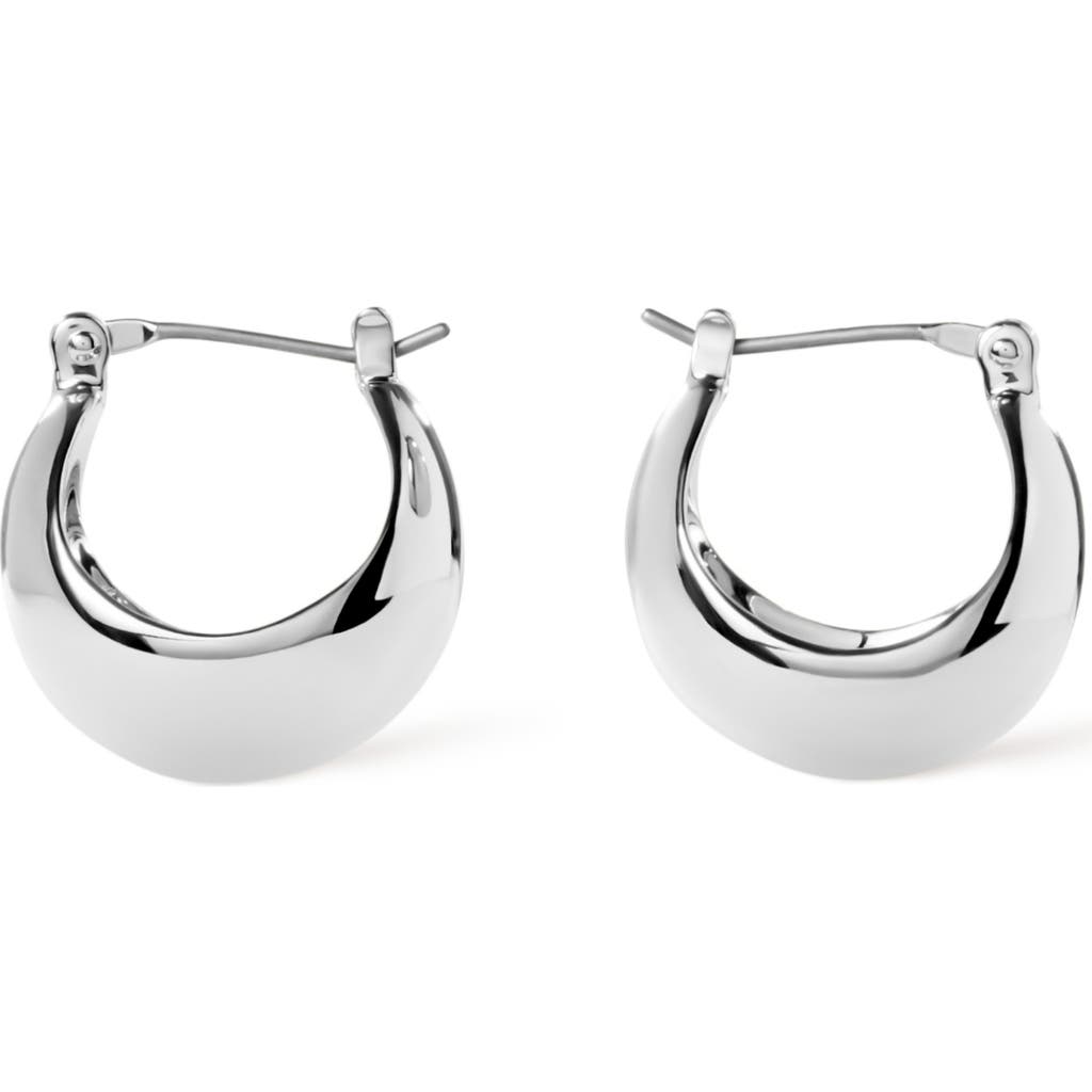 Ana Luisa Hoop Earrings In Silver