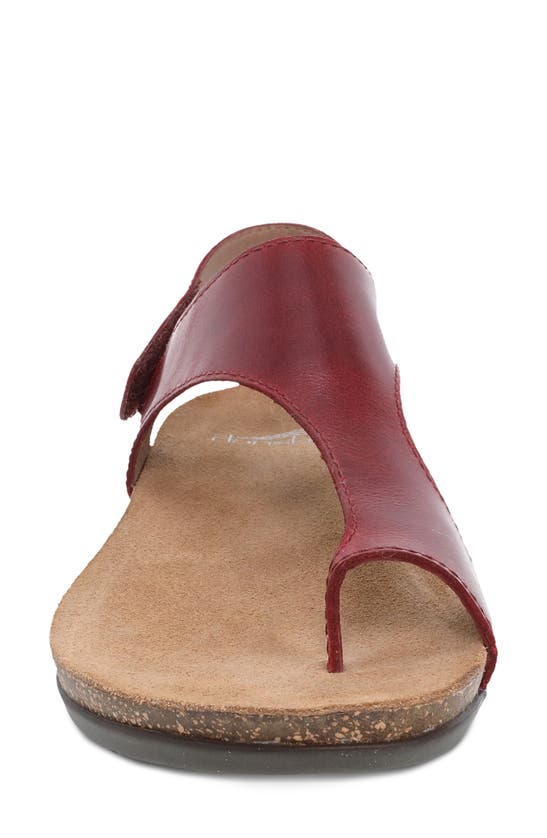 Shop Dansko Reece Sandal In Cinnabar