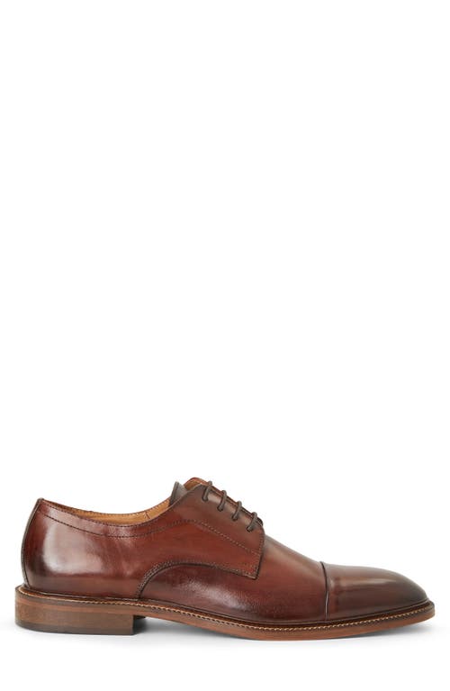 Shop Bruno Magli Aydin Cap Toe Derby In Cognac