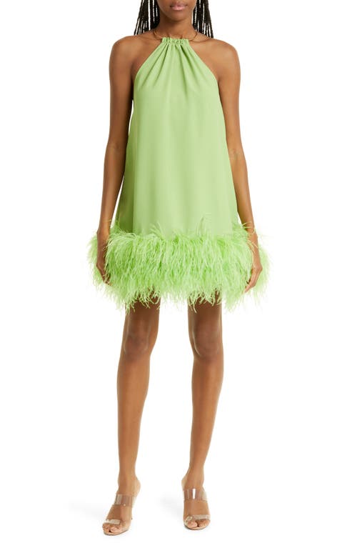 Cult Gaia Reeves Ostritch Feather Halter Minidress in Mantis