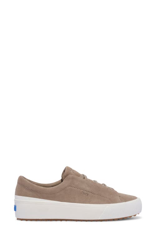 Shop Keds ® Remi Platform Sneaker In Medium Beige Suede