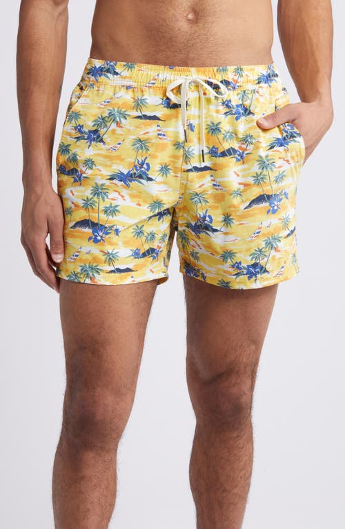 The Bungalow Swim Trunks in Birds Of Paradise Windsail