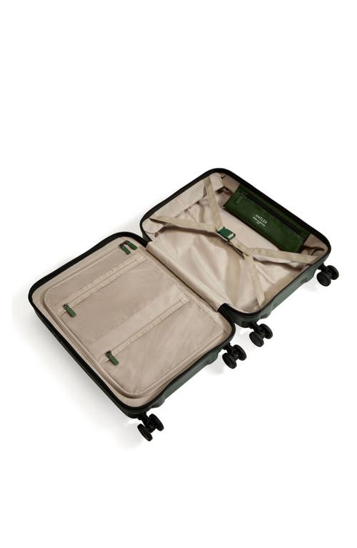 Antler Icon Stripe Pocket In Green
