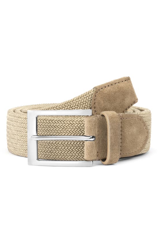 Shop To Boot New York Woven Elastic Belt In Braided Elastic Sabbia