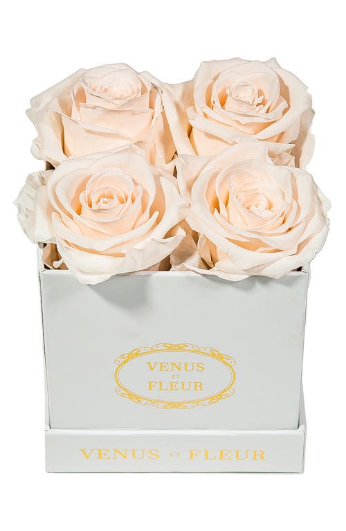 Venus ET Fleur Classic Le Petit Eternity Roses in Blush at Nordstrom