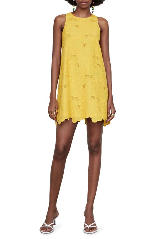 MANGO Openwork Detail Scallop Hem Cotton Minidress in Yellow at Nordstrom, Size 6