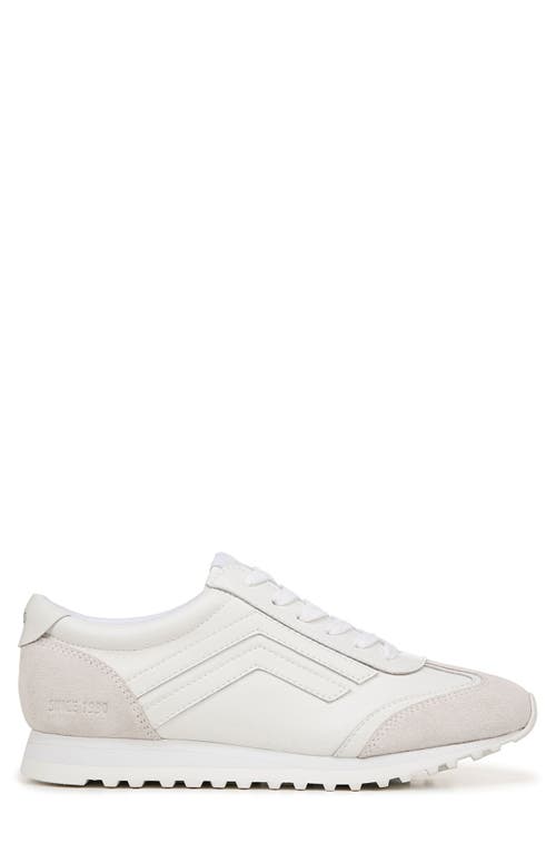 Shop Franco Sarto Matera Sneaker In White