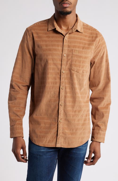 Shop Original Penguin Slim Fit Corduroy Button-up Dobby Shirt In Tigers Eye