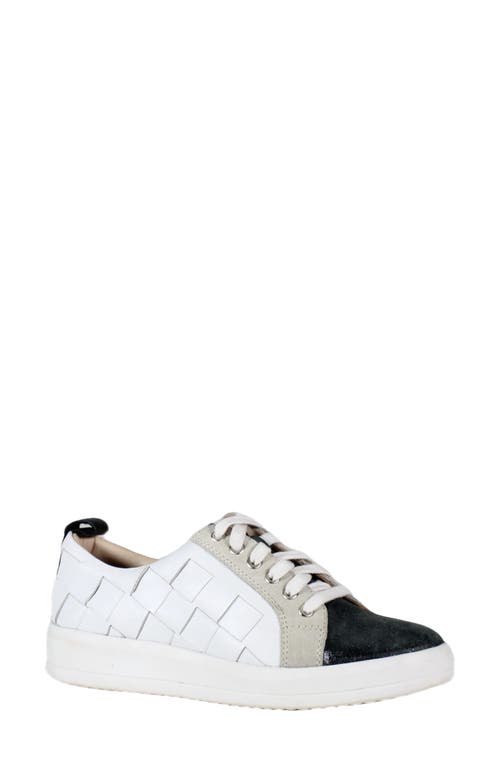 Shop Diba True Yuli Ana Sneaker In Black/white