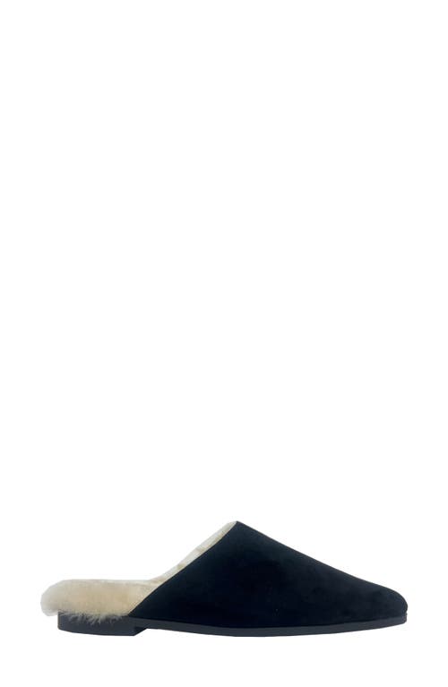 Yosi Samra Zoe Genuine Shearling Lined Mule In Black