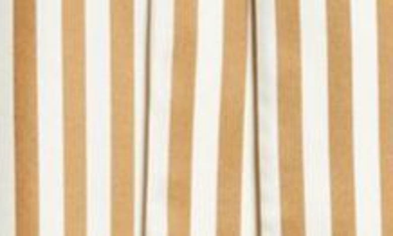 Shop Max Mara Faesite Stripe Long Sleeve Silk Twill Shirtdress In Honey