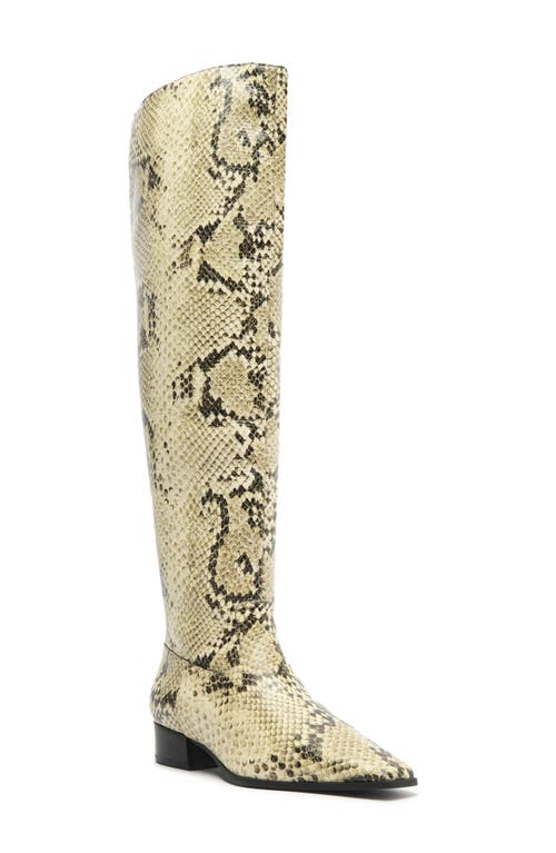 Shop Schutz Helena Over The Knee Boot In Animal Print