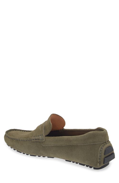 Shop Nordstrom Driving Penny Loafer In Olive Suede