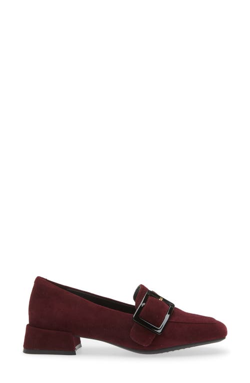 Shop The Flexx Laurene Loafer Pump In Bordeaux