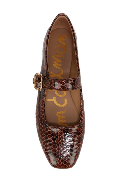 Shop Sam Edelman Michaela Mary Jane Flat In Stable Brown