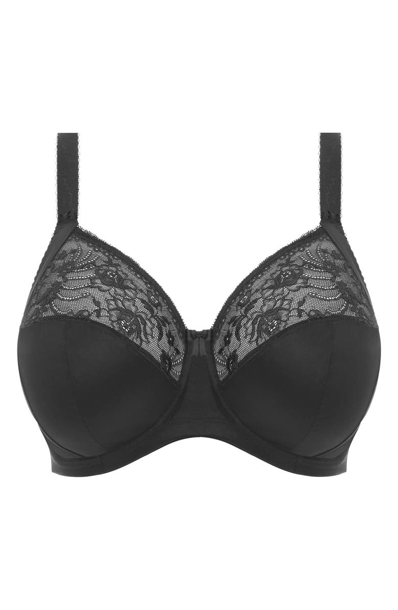 Elomi Morgan Full Figure Underwire Bra | Nordstrom